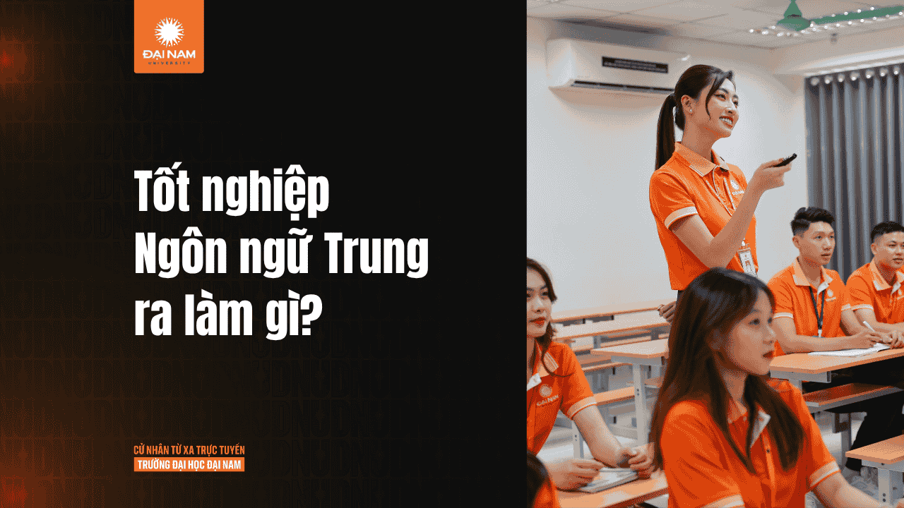 Ngành Ngôn ngữ Trung: Học gì, học ở đâu và cơ hội nghề nghiệp ra sao?