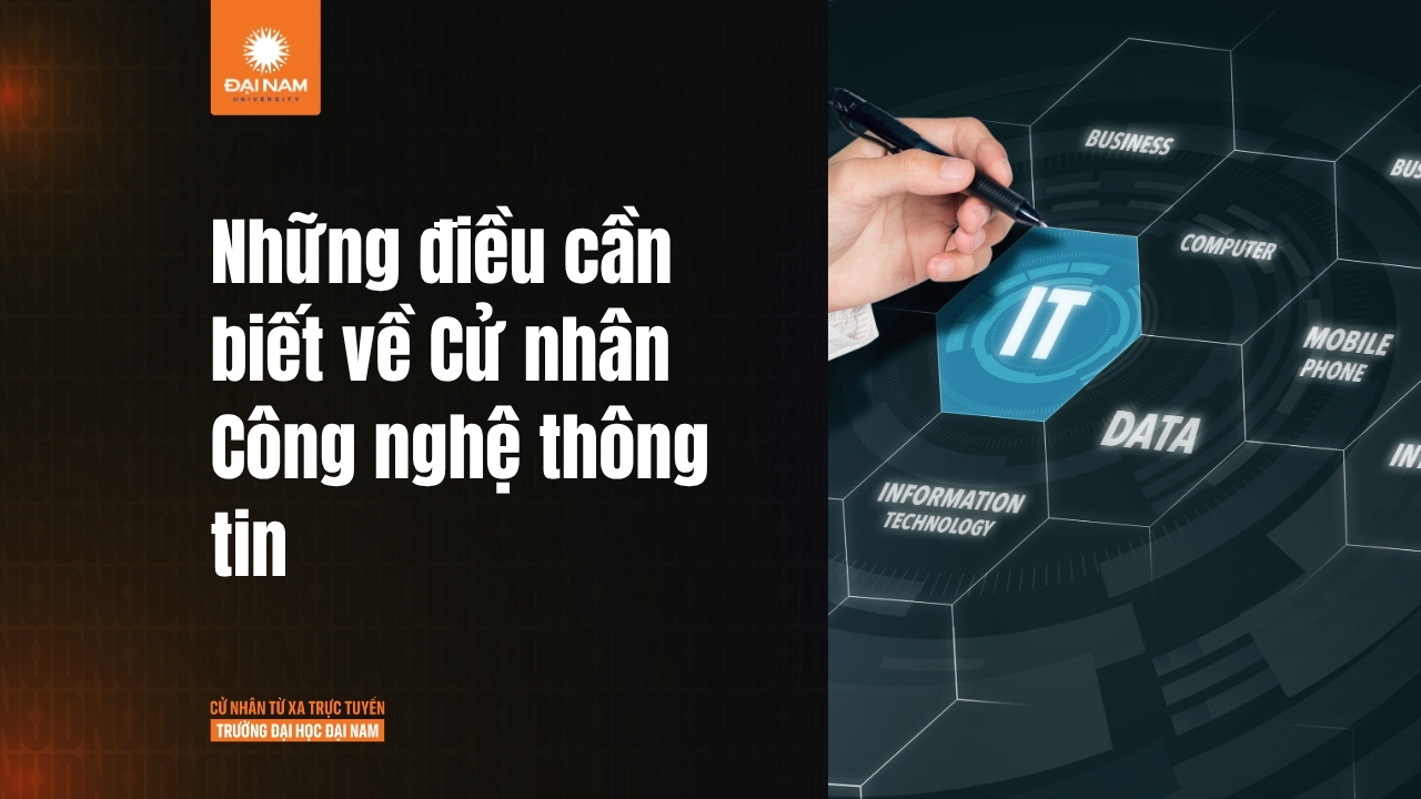 Cử nhân Công nghệ Thông tin: Bằng cấp, cơ hội và lộ trình phát triển