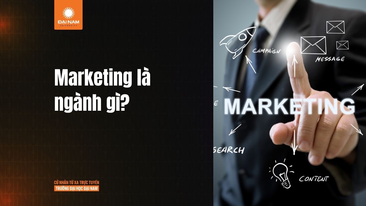 Marketing là ngành gì? Marketing có vai trò như thế nào?