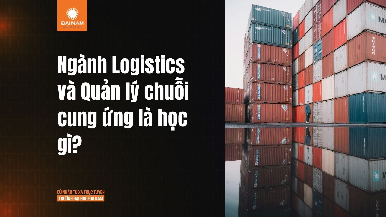 Ngành Logistics và Quản lý chuỗi cung ứng là học gì?